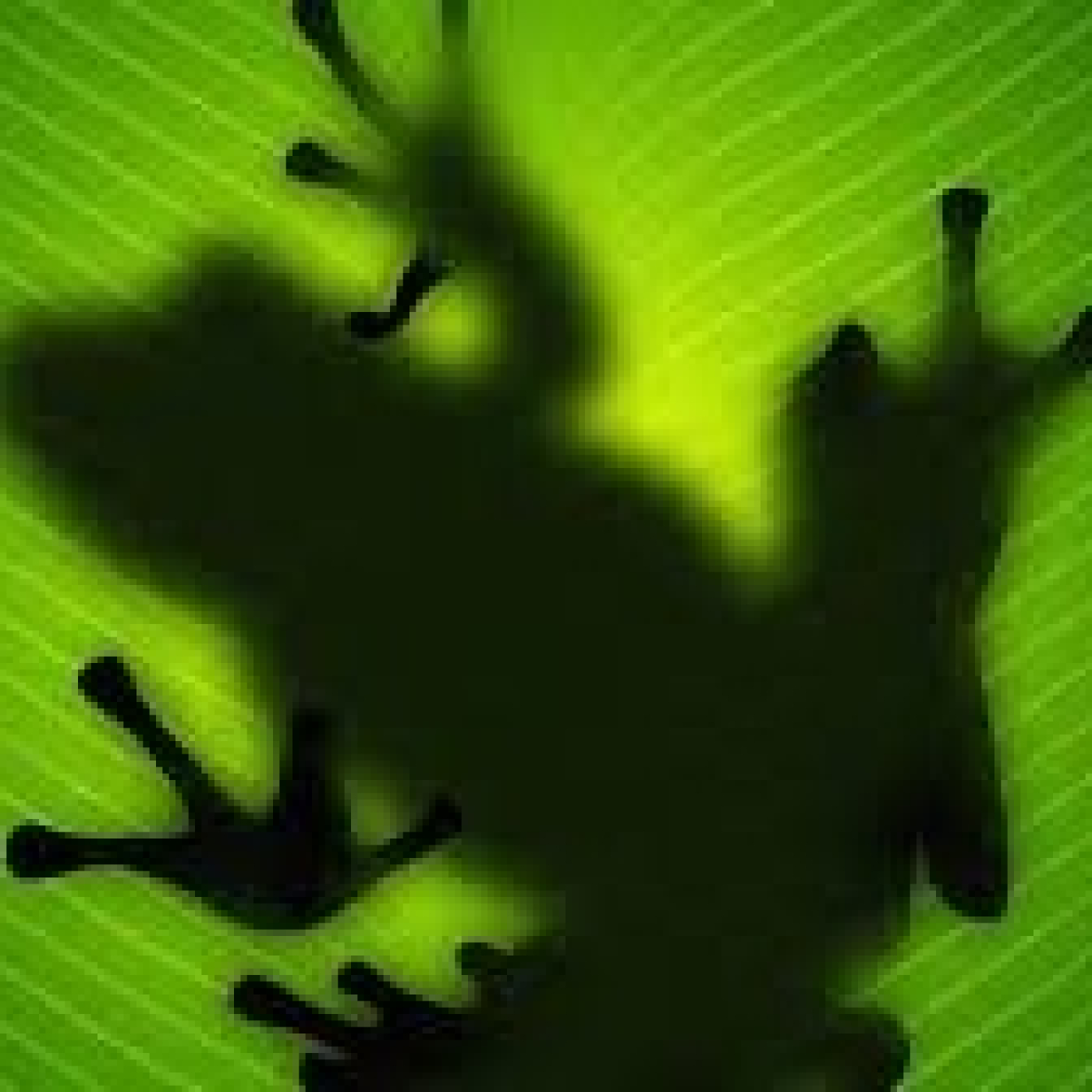El kambó, veneno de rana o medicina humana. - Episodio exclusivo para mecenas episode artwork