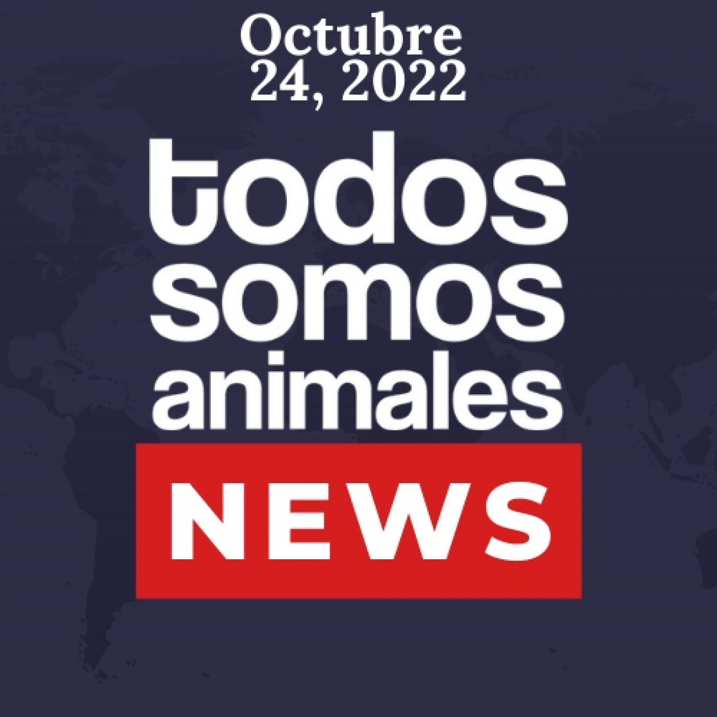 Todos Somos Animales News