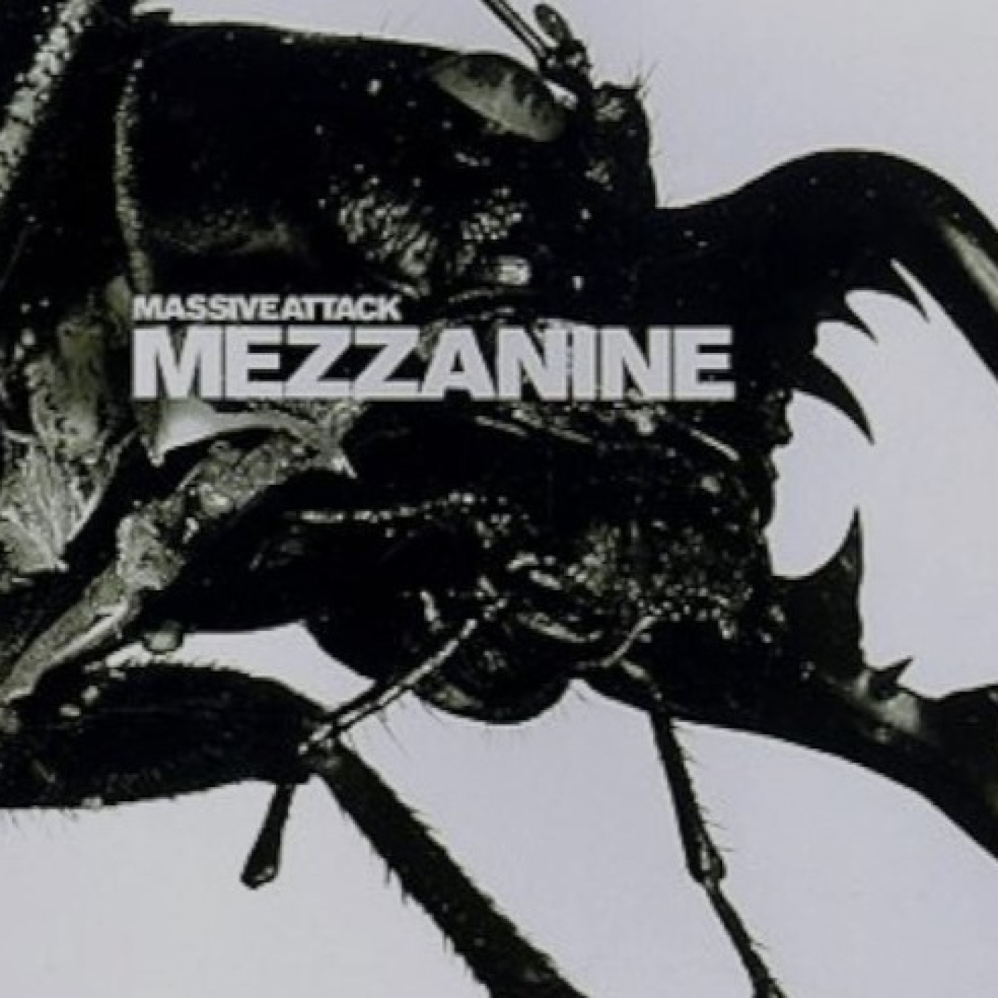 Tricky, Daniel Romano, Massive Attack - 13-11-24 episode artwork