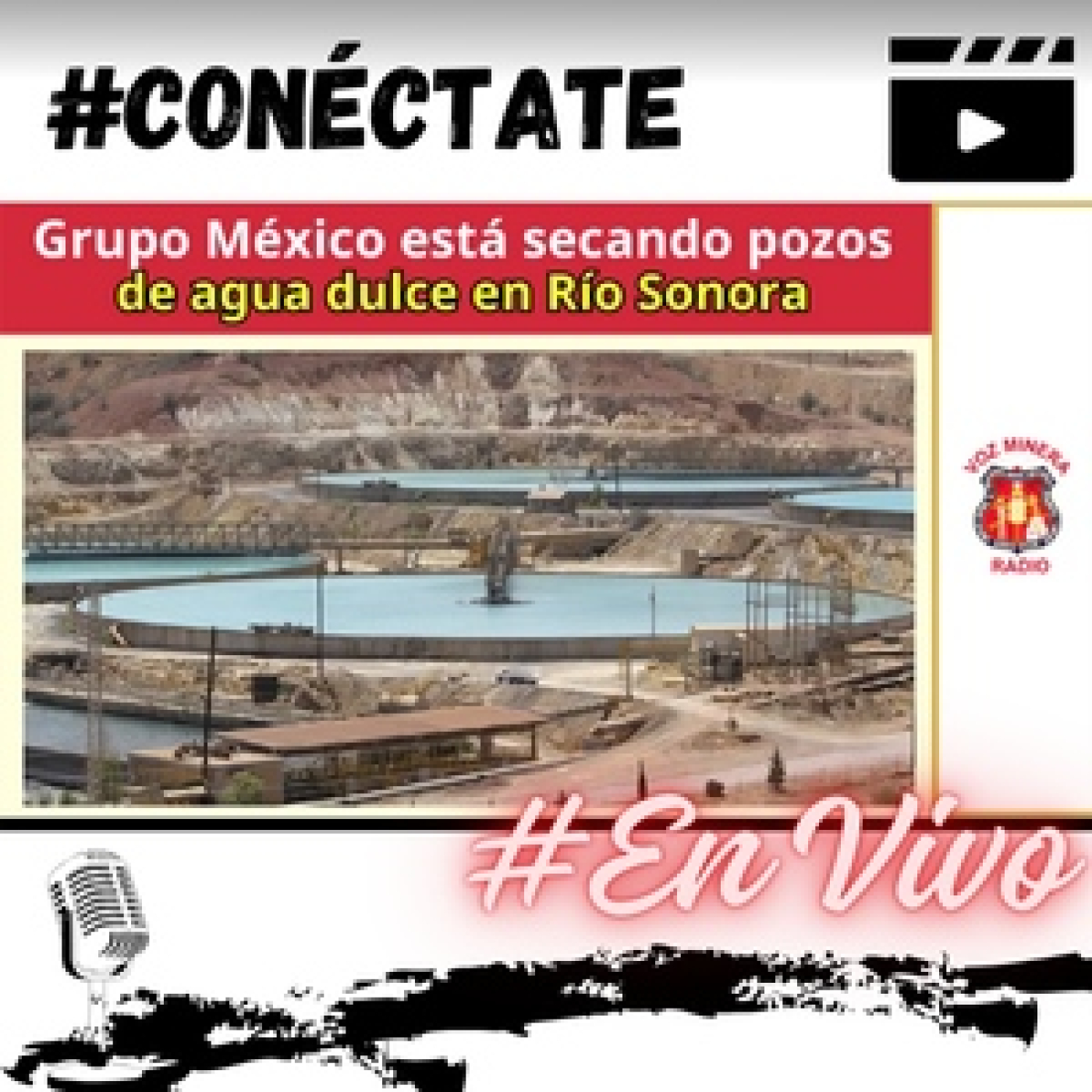 Voz Minera MX