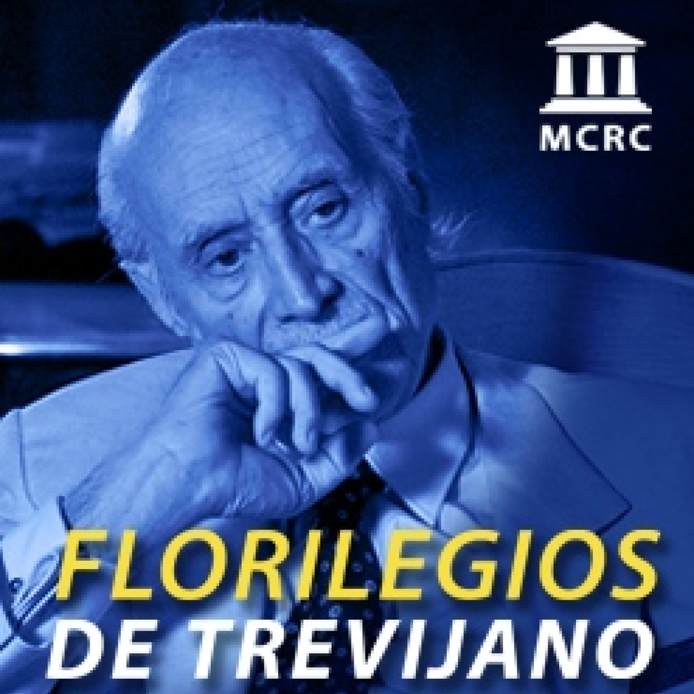 Radio Libertad Constituyente