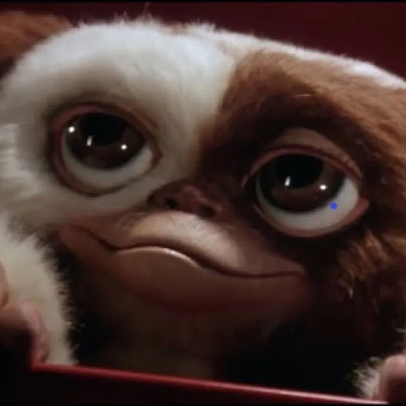 BSO - CAPÍTULO 364 - Del orden al caos: Gremlins, 40 años episode artwork