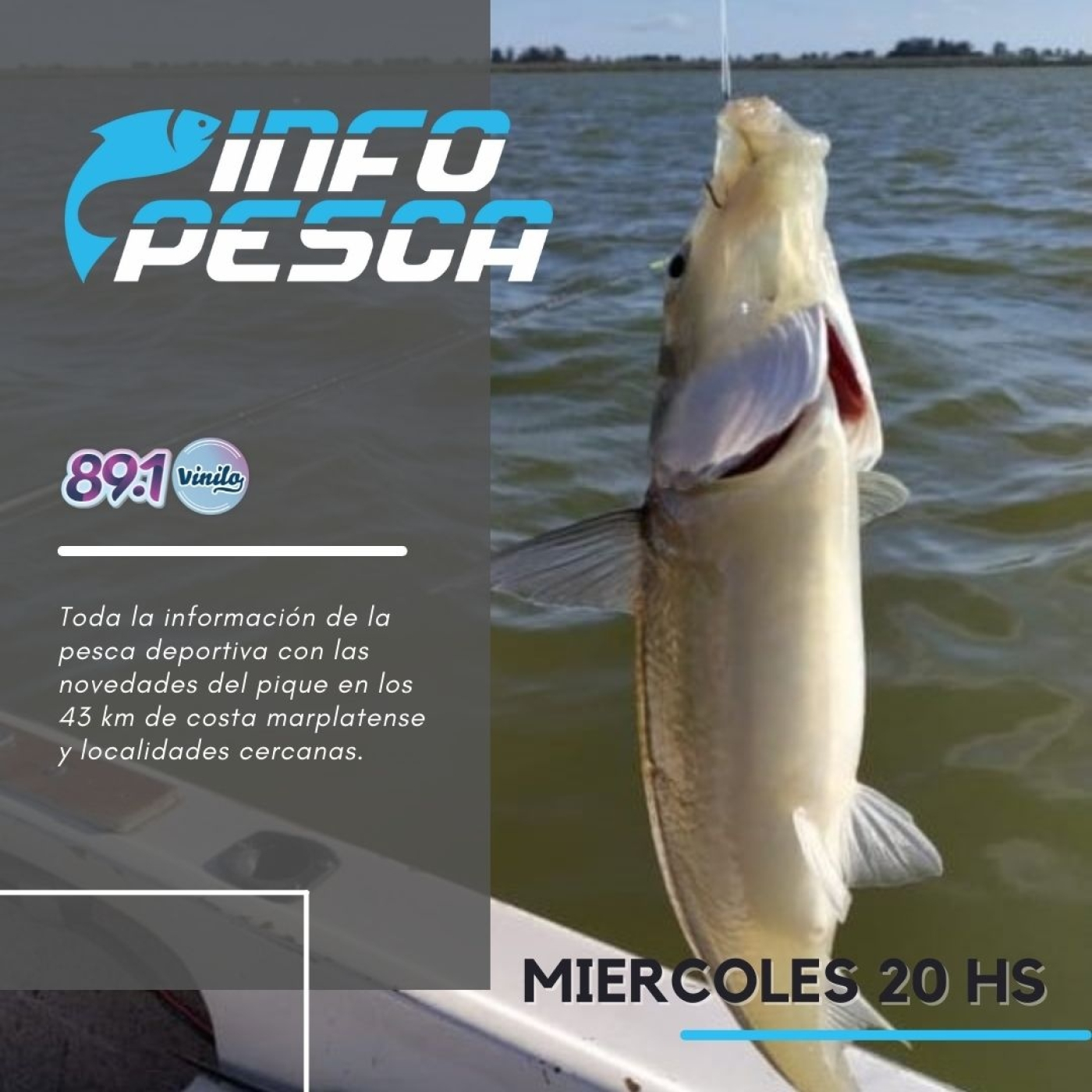 INFOPESCA MDQ