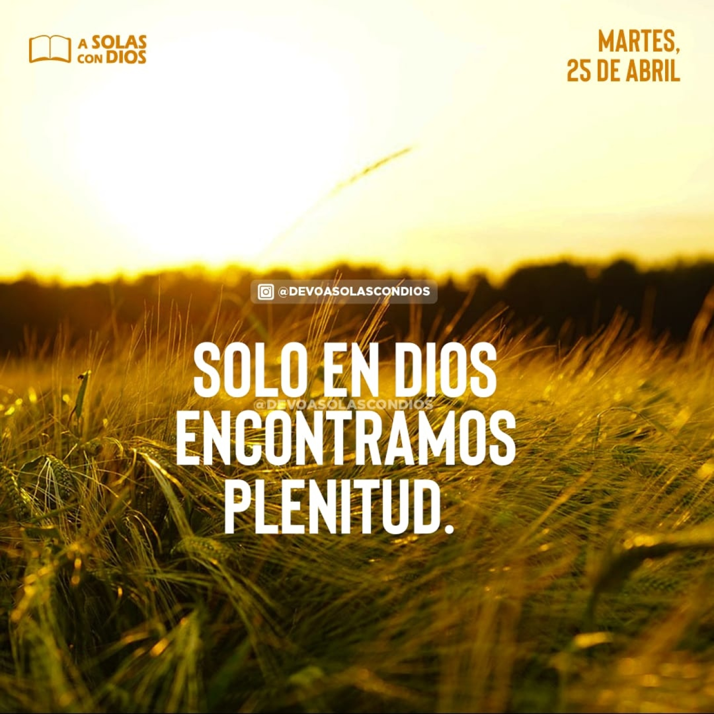 A Solas con Dios