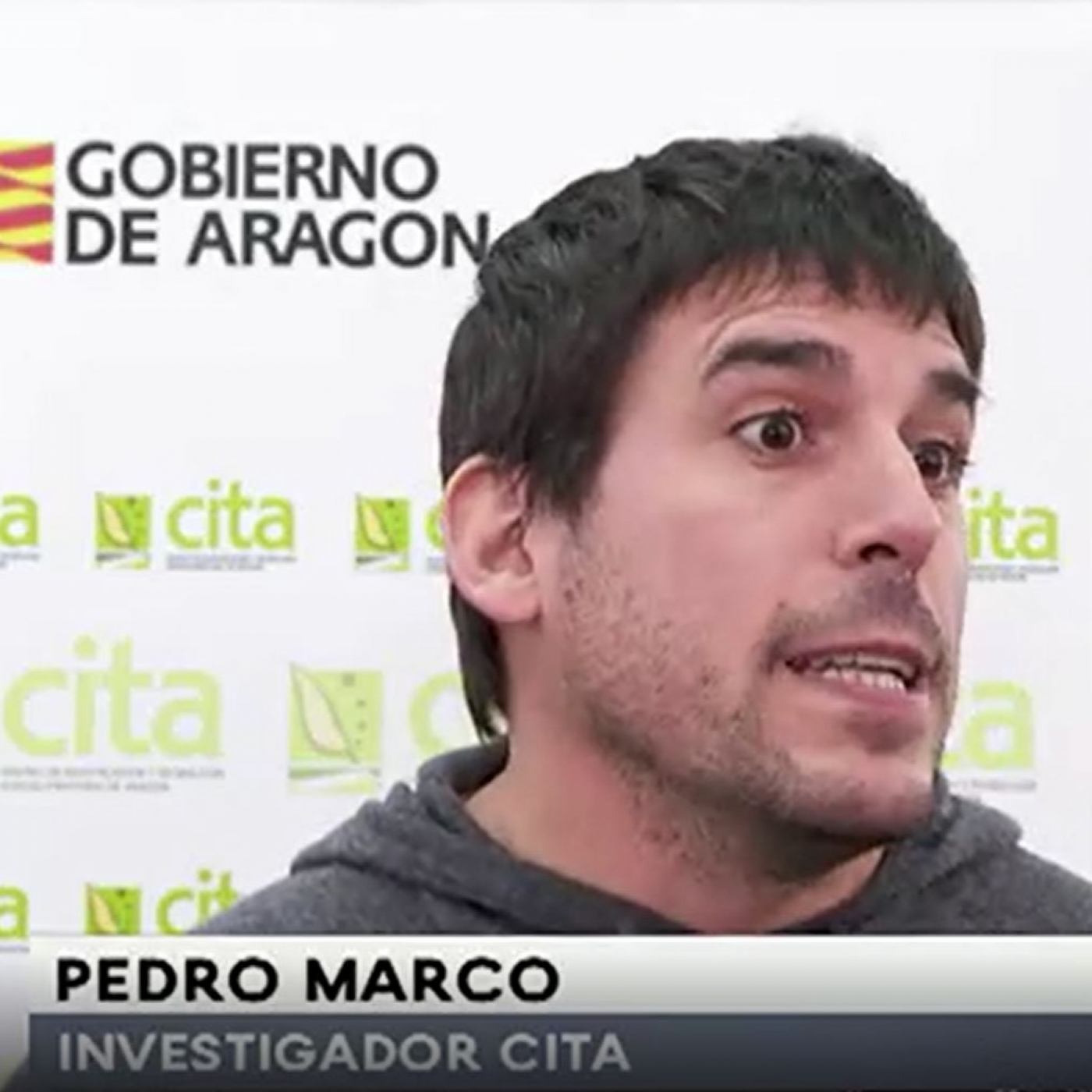 CITA de Aragón: Apariciones en radio