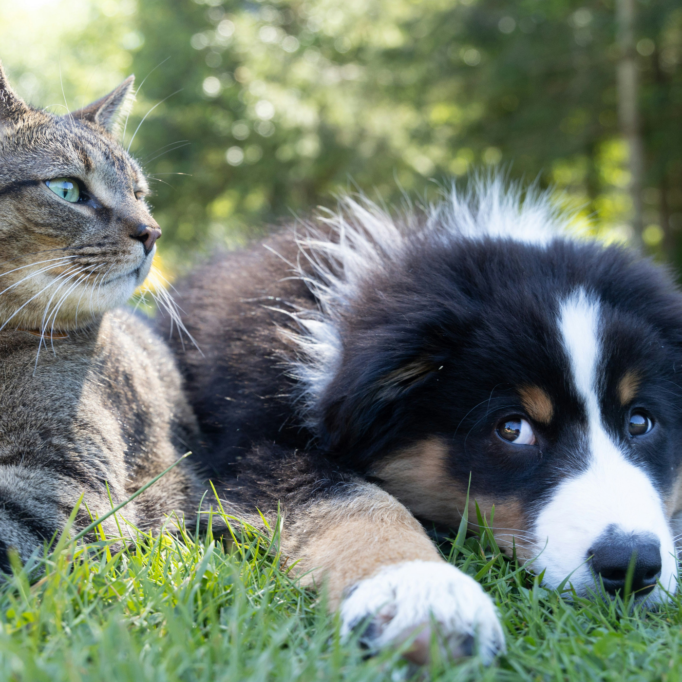 ¿Soy insoportable o se está bien conmigo?