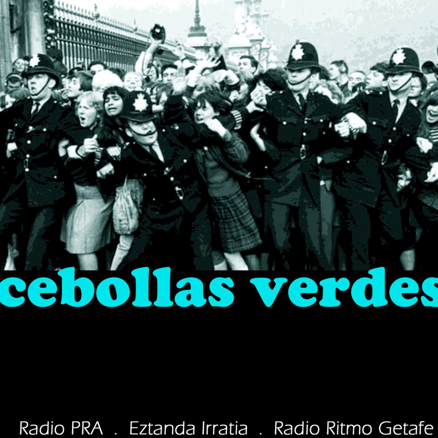 Cebollas Verdes