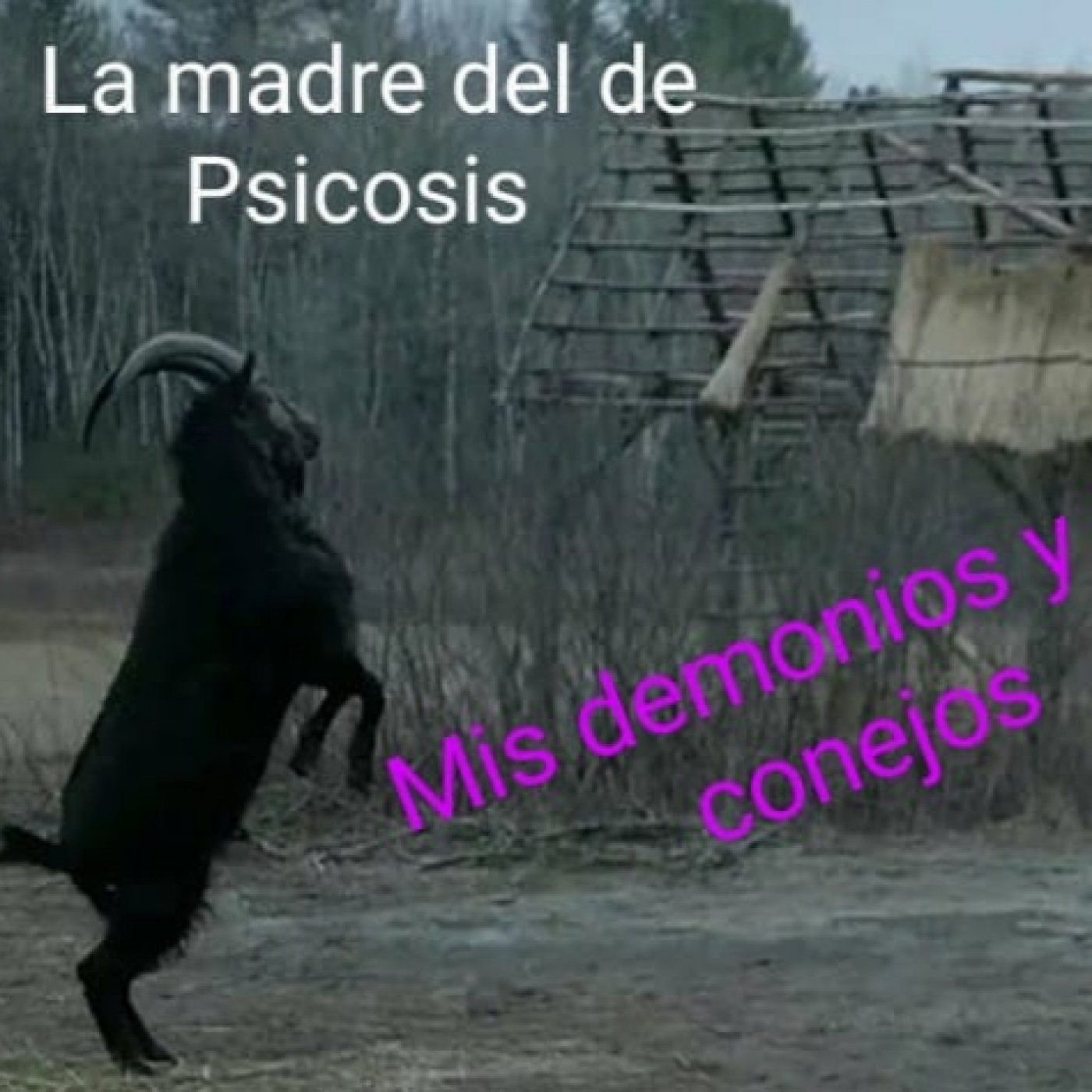 La madre del de Psicosis