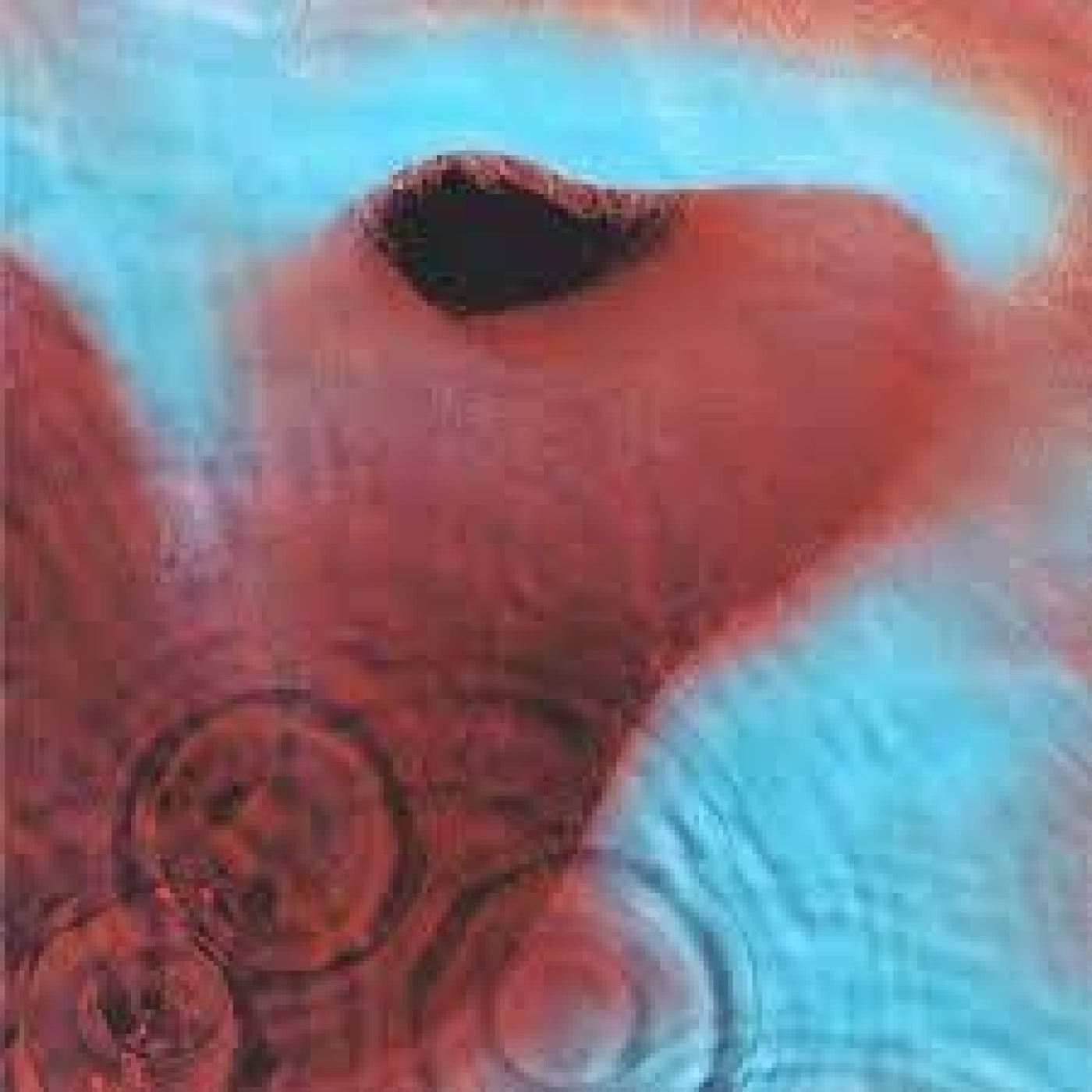 705 - pink floyd - meddle (1971) episode artwork