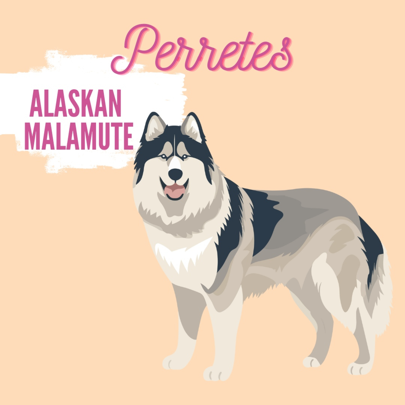 Perretes | Las razas de perros