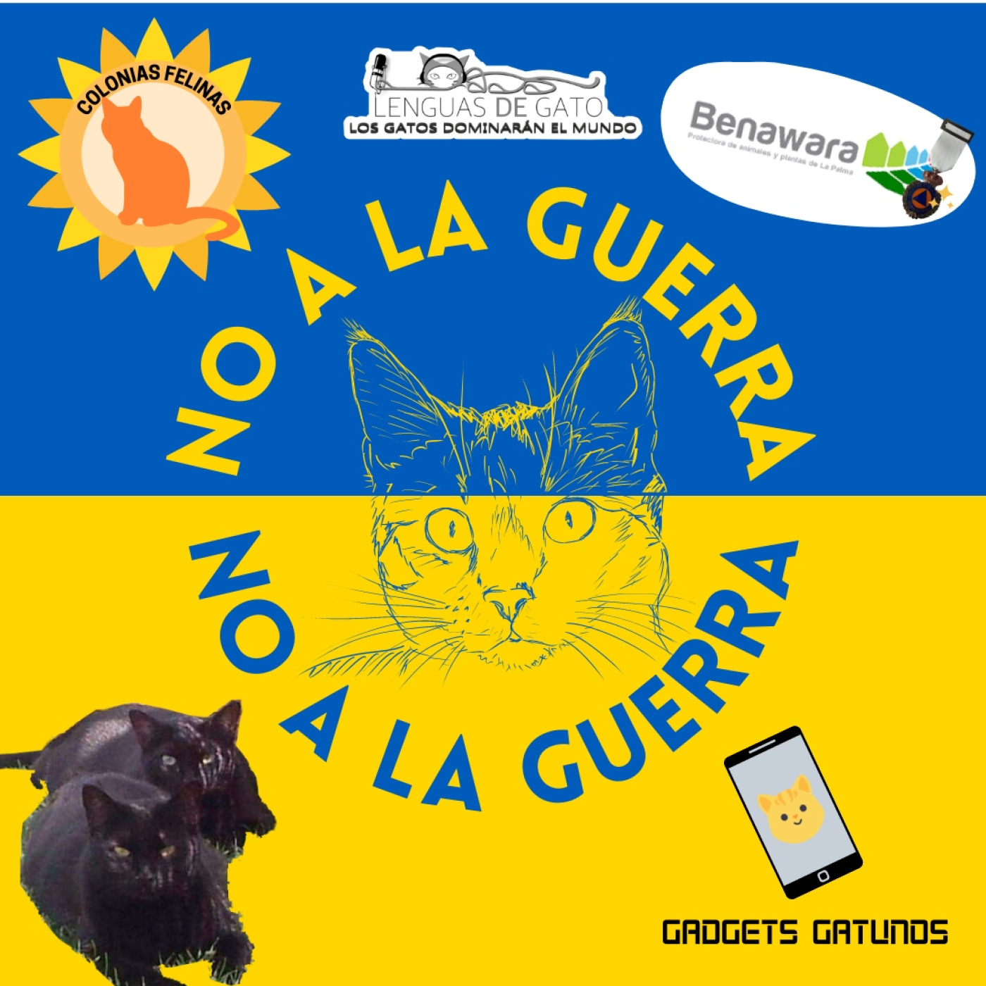 LOS GATOS DOMINARÁN EL MUNDO