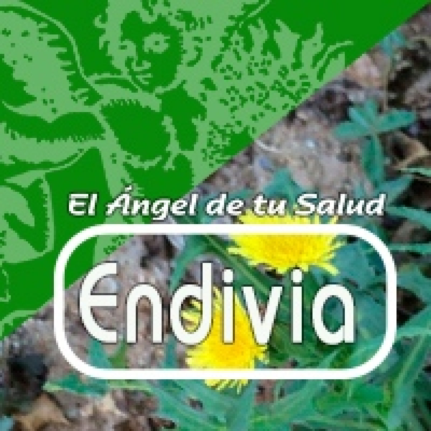 El Angel de tu Salud -ENDIVIA* episode artwork