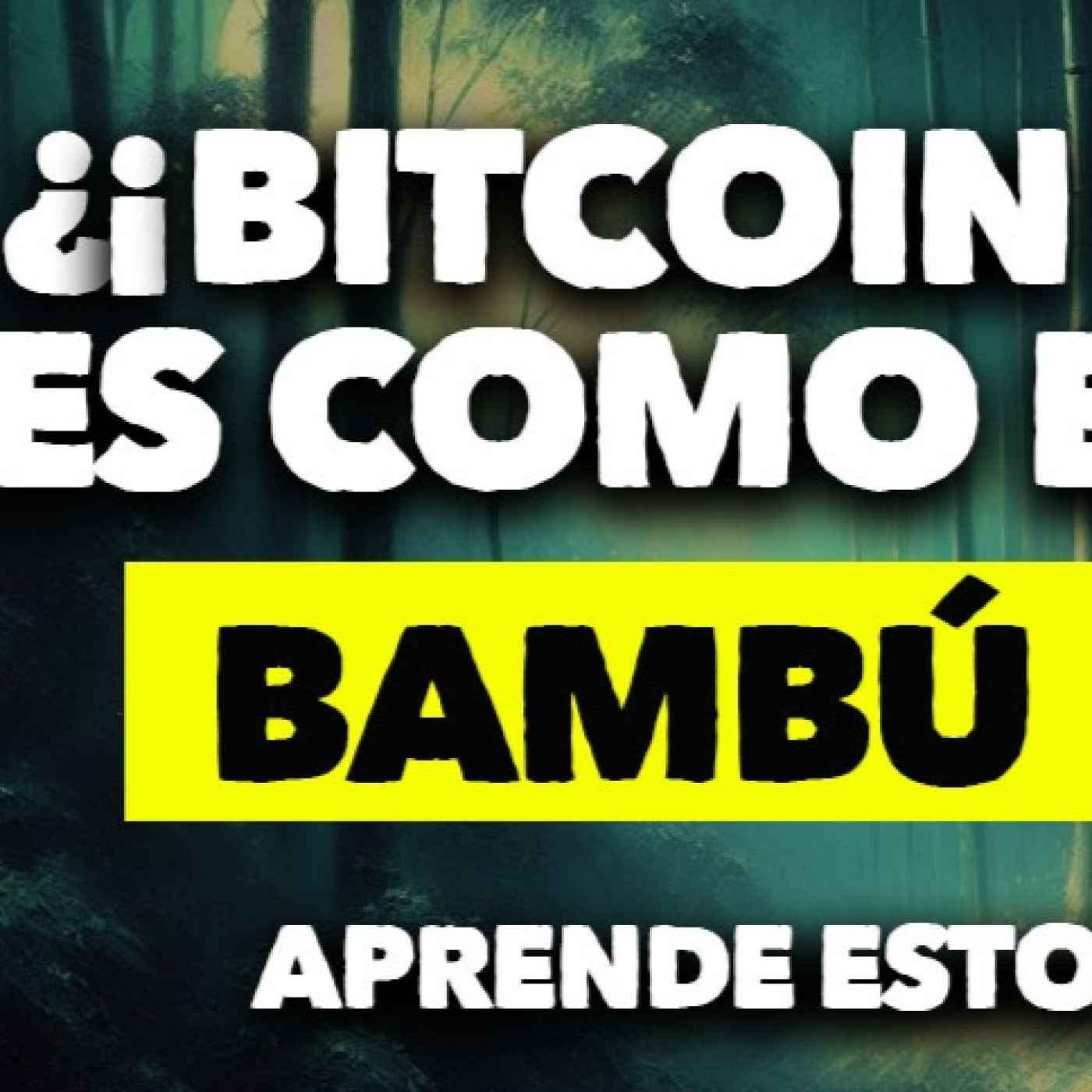 Creciendo como el Bambú: El Futuro de Bitcoin!