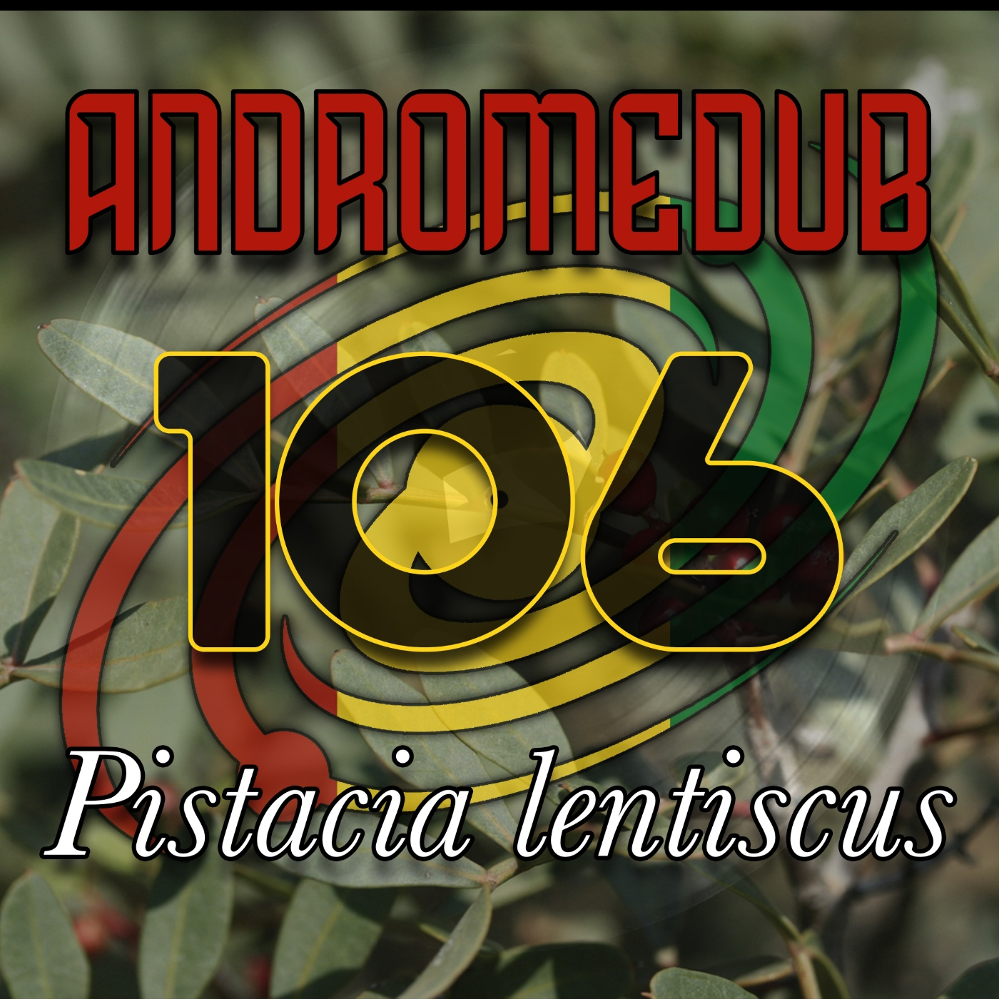 Andromedub
