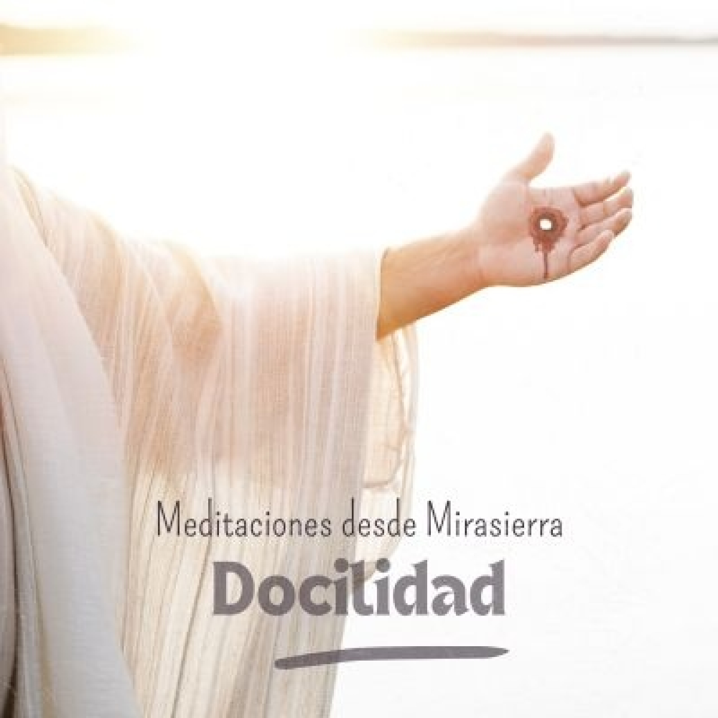 Meditaciones desde Mirasierra