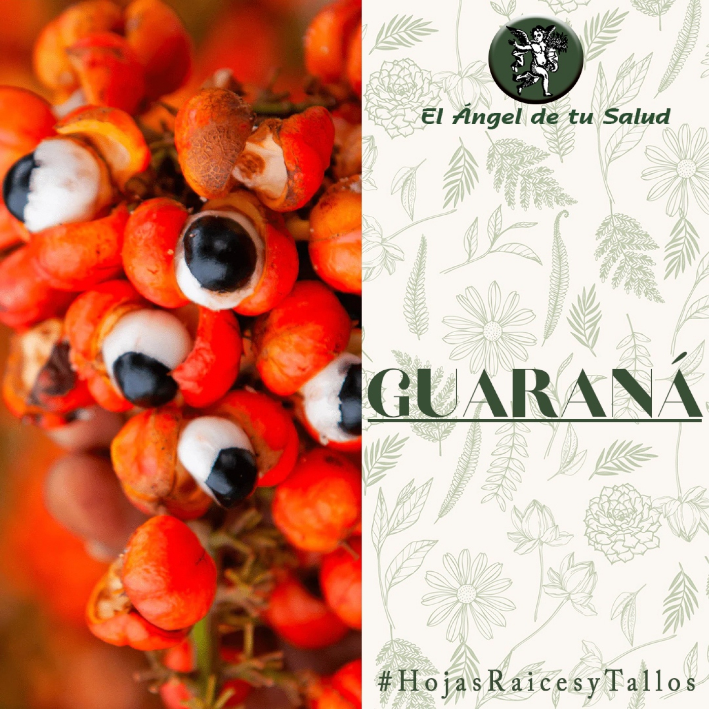 El Ángel de tu Salud - Guaraná** episode artwork