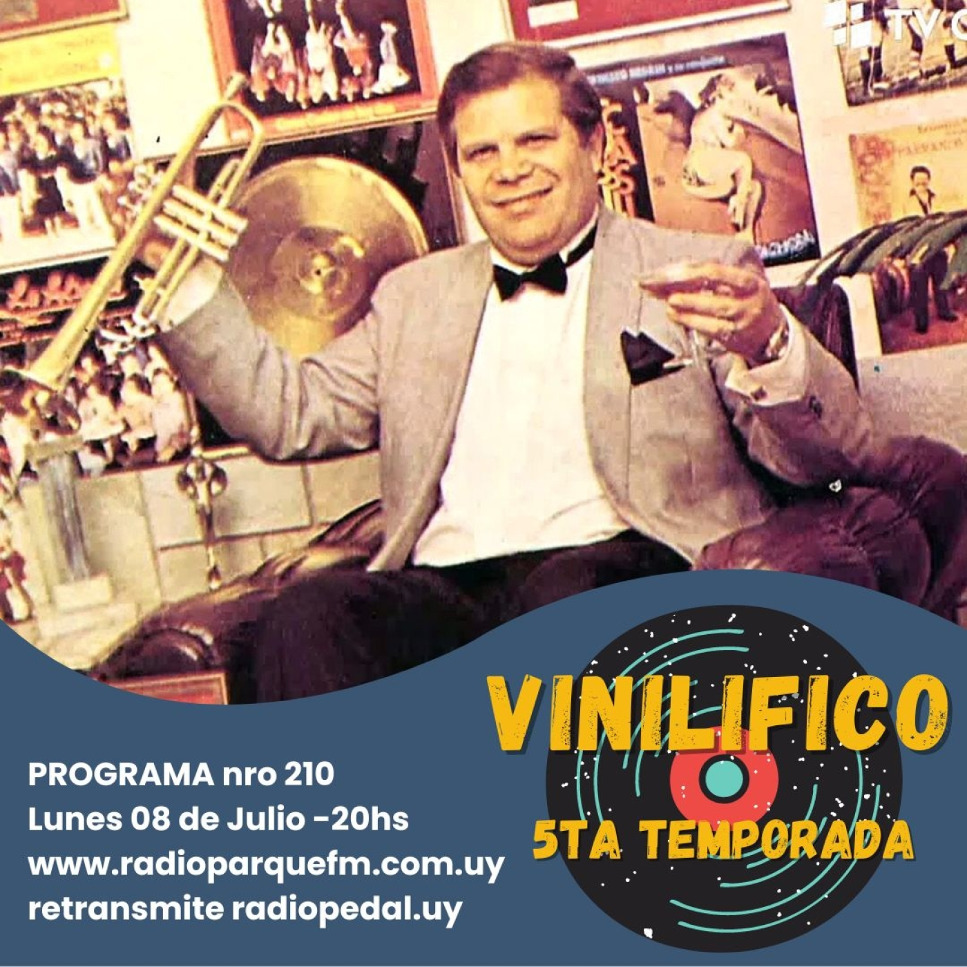 Vinilifico
