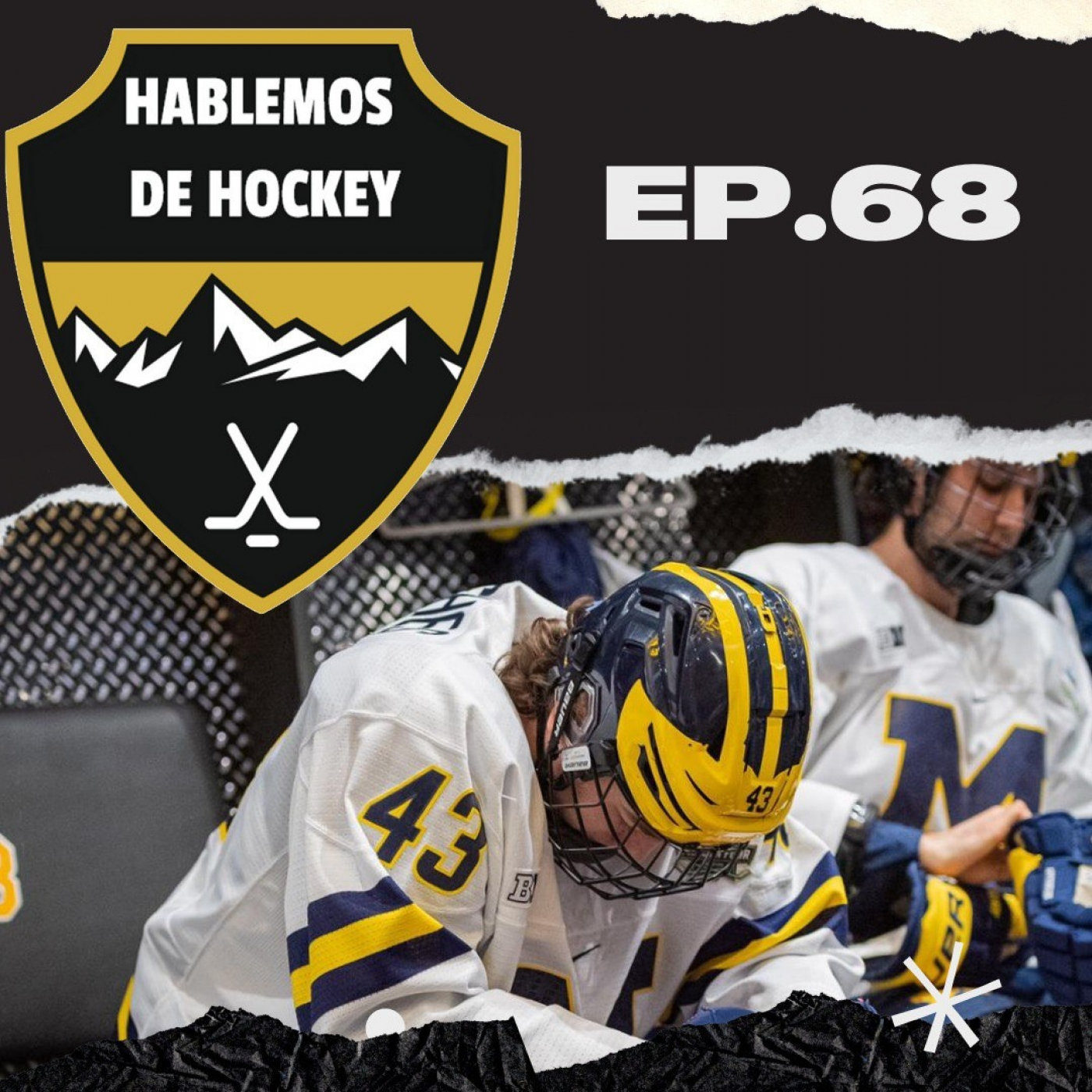 Hablemos de Hockey 68: Nos acercamos a los playoffs y aún queda mucho por decidir episode artwork