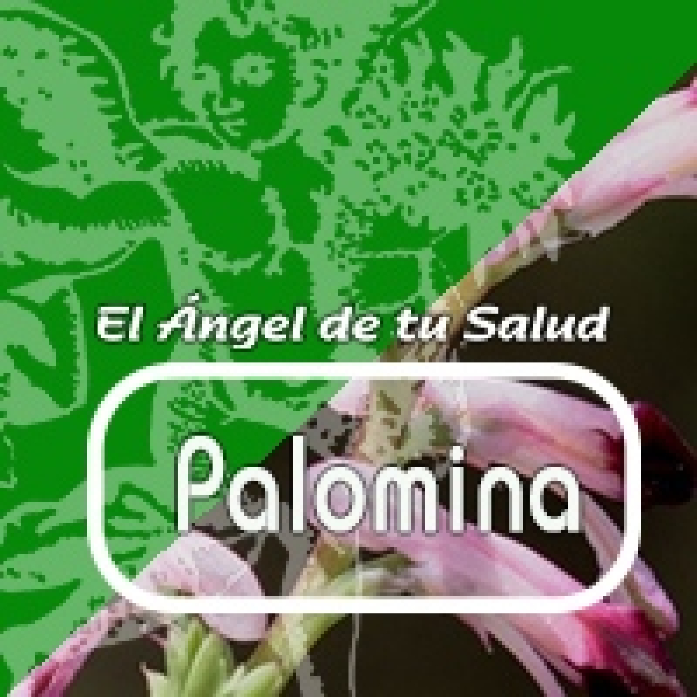 El Angel de tu Salud - PALOMINA* episode artwork