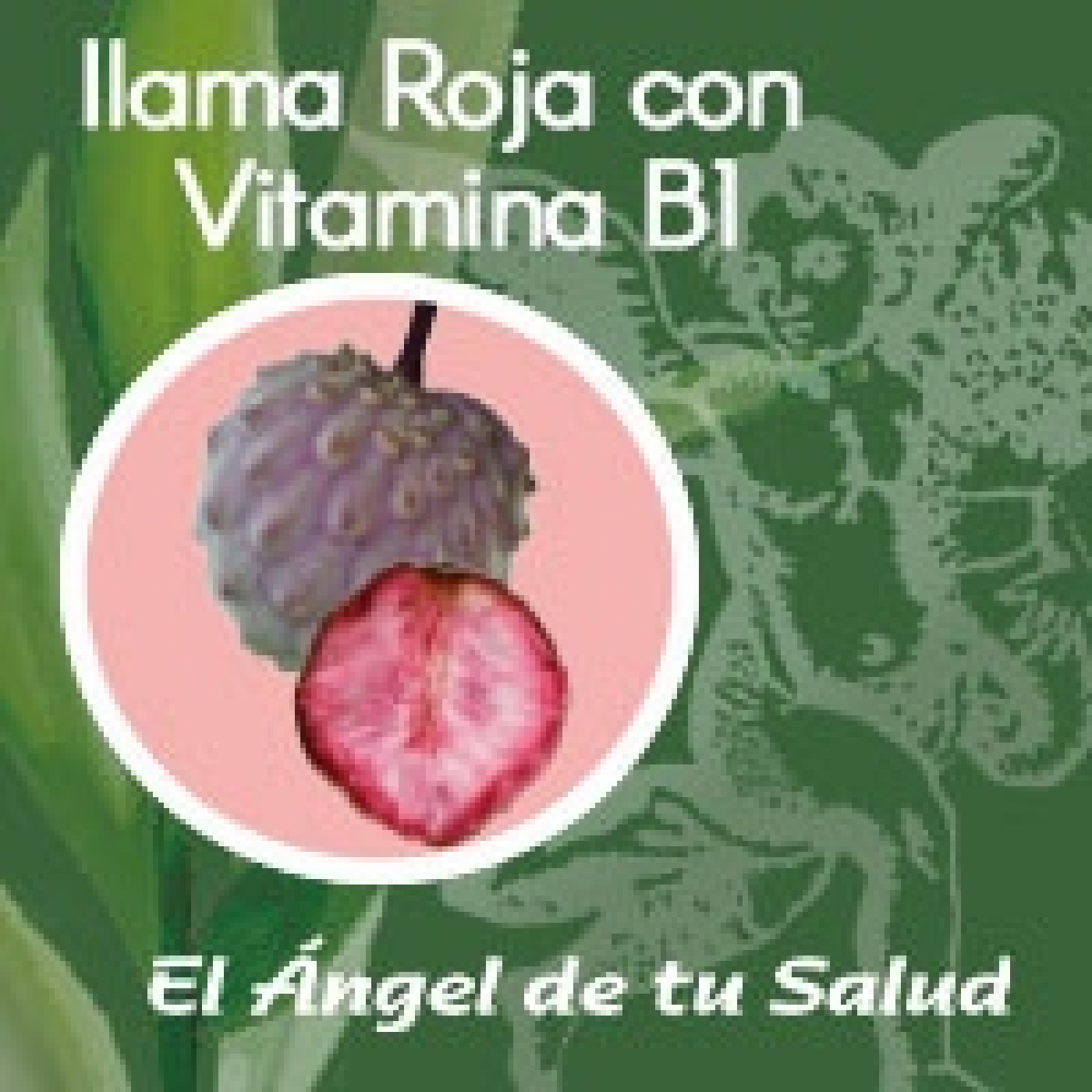 El Ángel de tu Salud - Ilama Roja con Vitamina B1 ** episode artwork