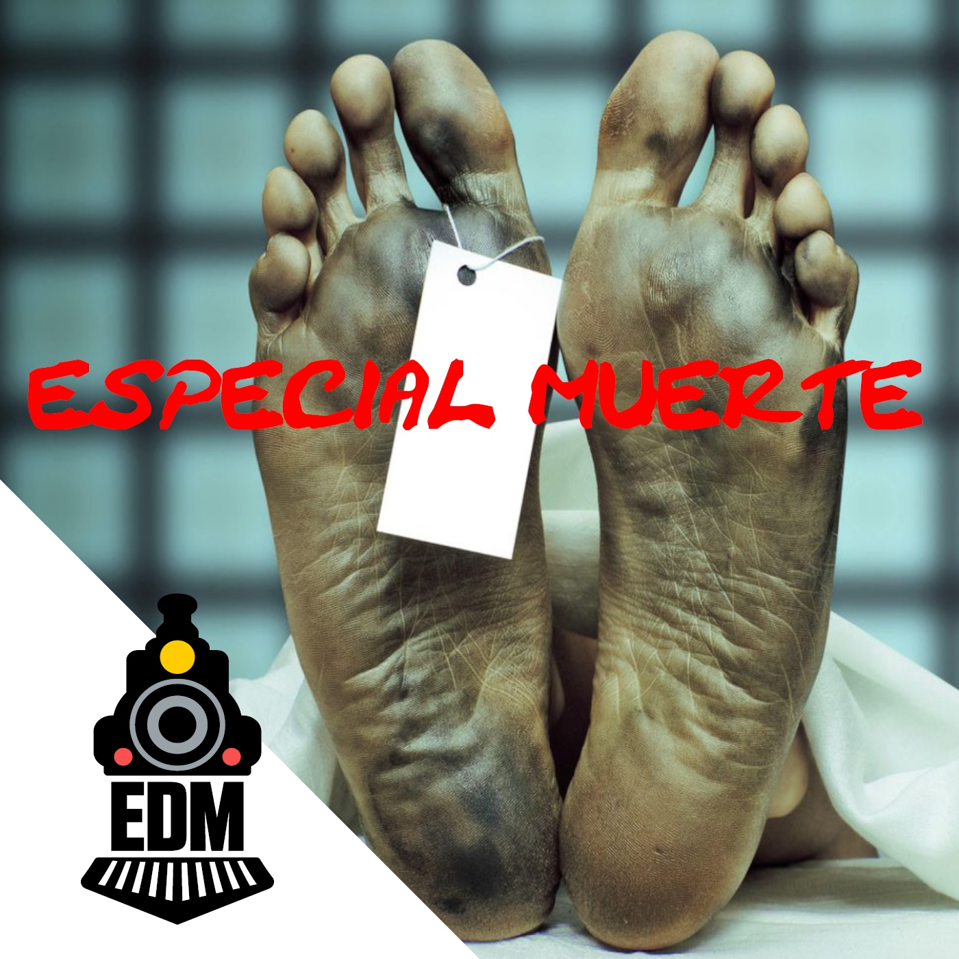 "Al morir, ¿qué pasa realmente con nuestro cuerpo?" T11X88