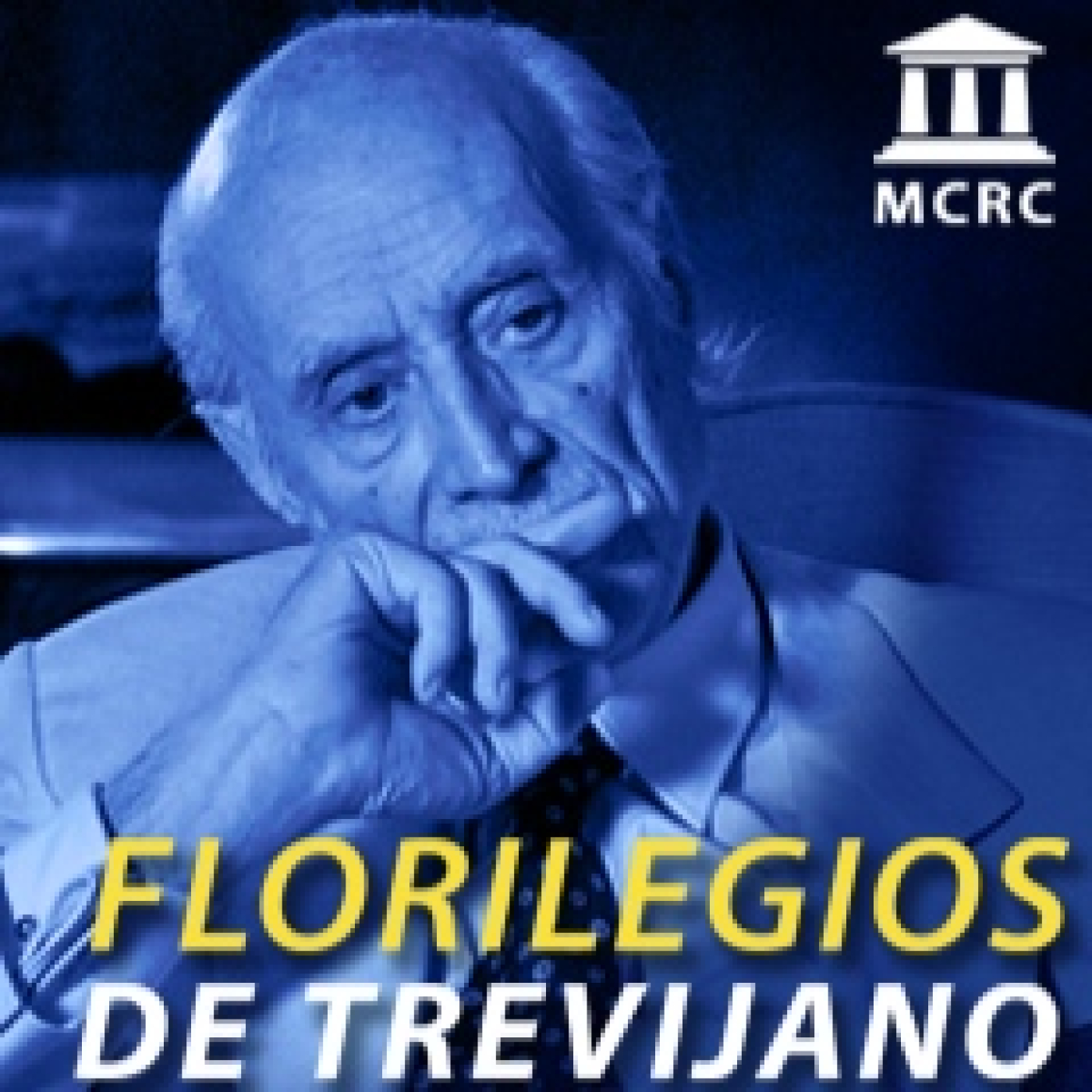 Radio Libertad Constituyente