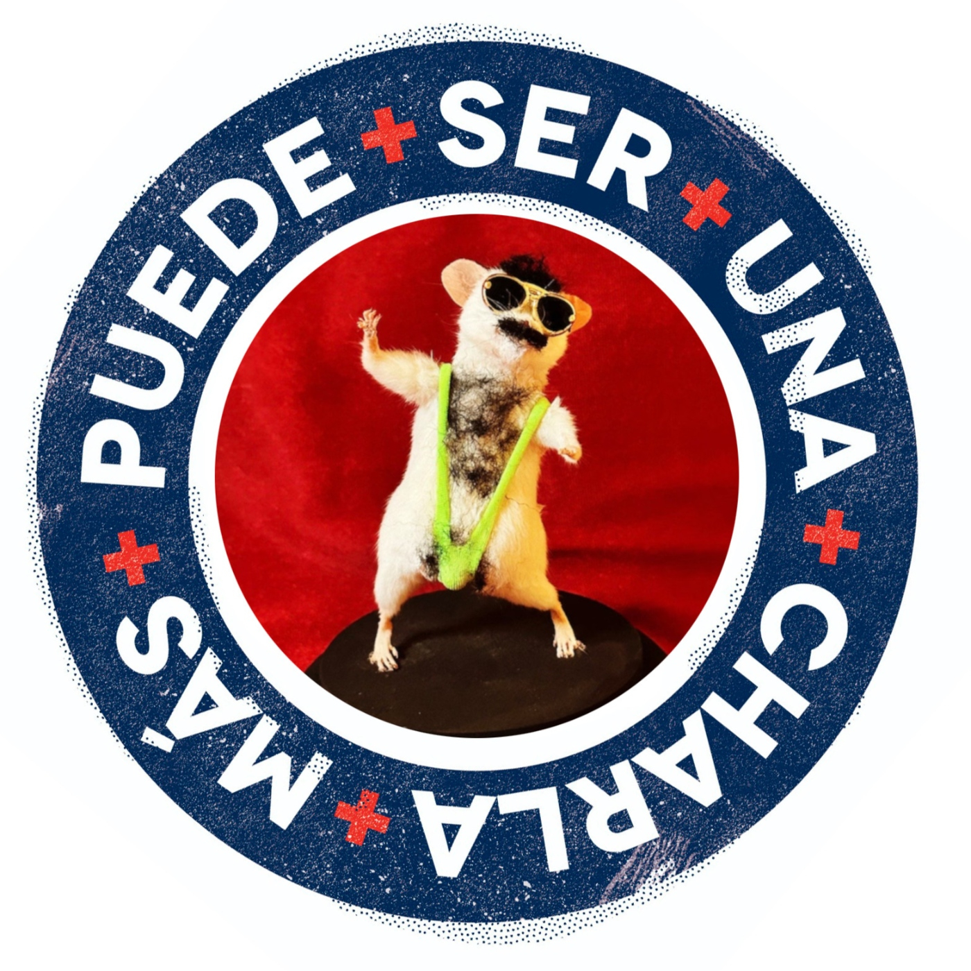 Puede Ser Una Charla Más