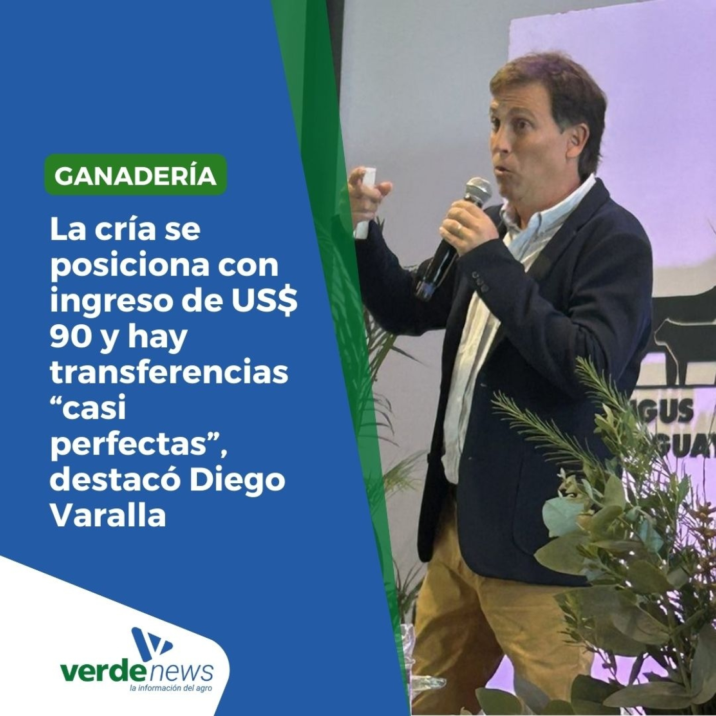 verdemedia