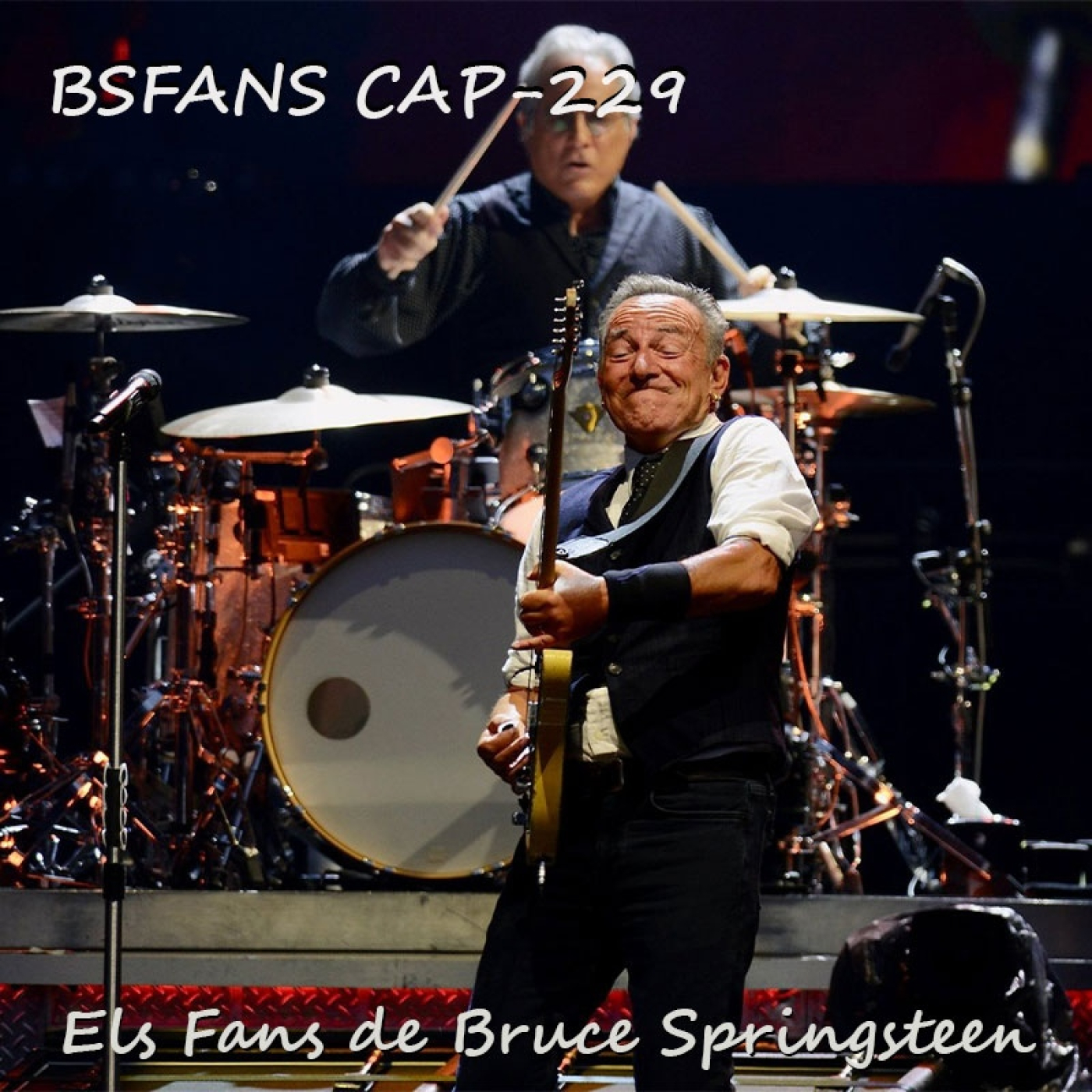 Els Fans de Bruce Springsteen