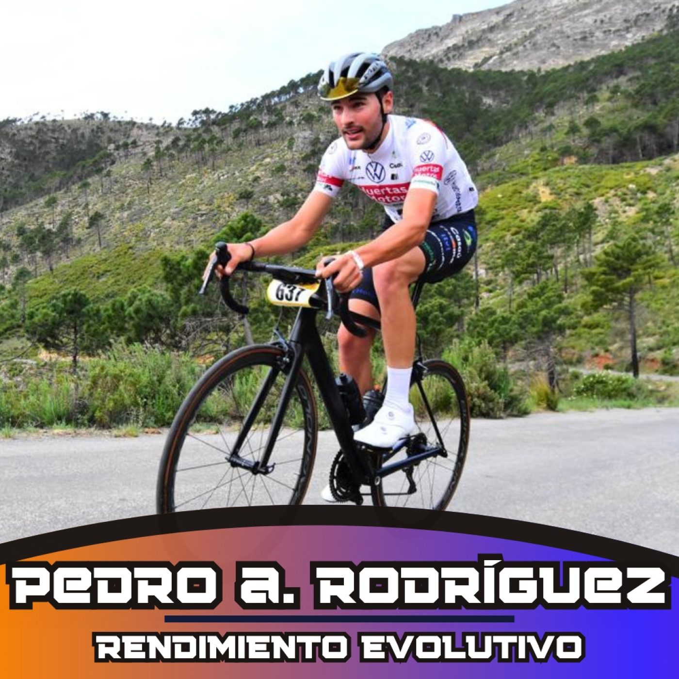 Rendimiento Evolutivo