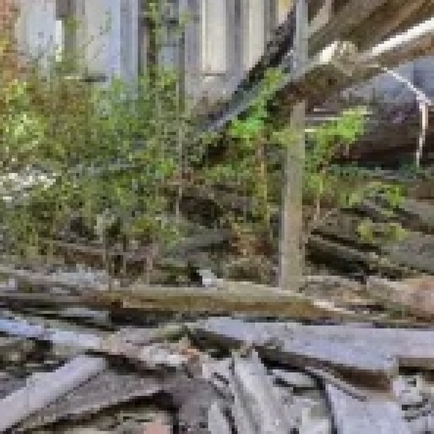 Zamora a traves de su historia.