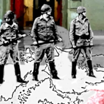 embed image