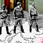 embed image