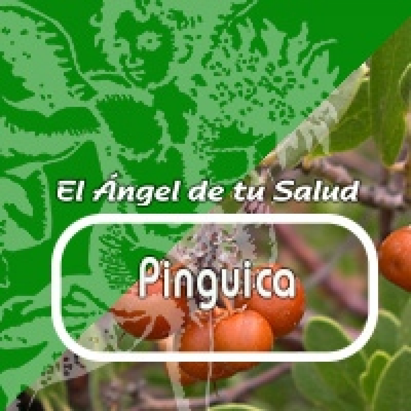 El Ángel de tu Salud - PINGUICA **** episode artwork