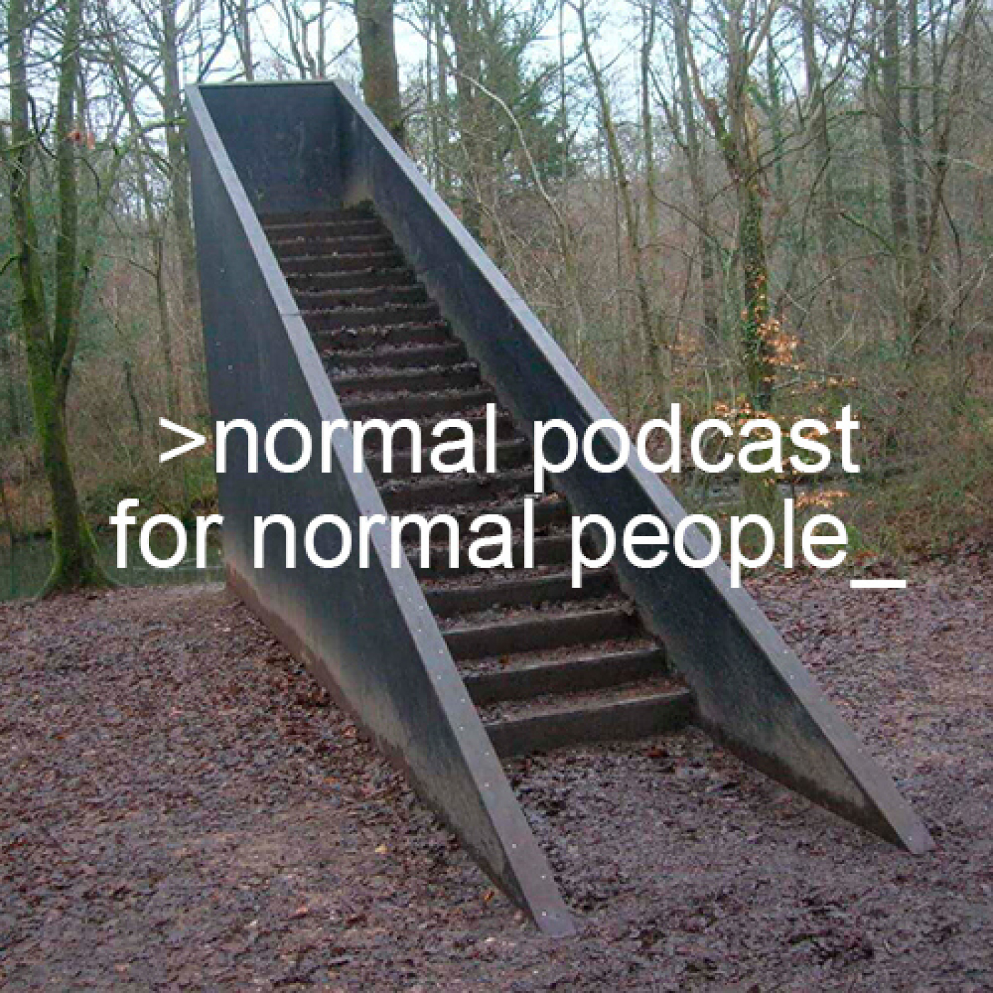 Normal Podcast for Normal People