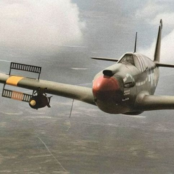 embed image