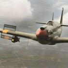 embed image