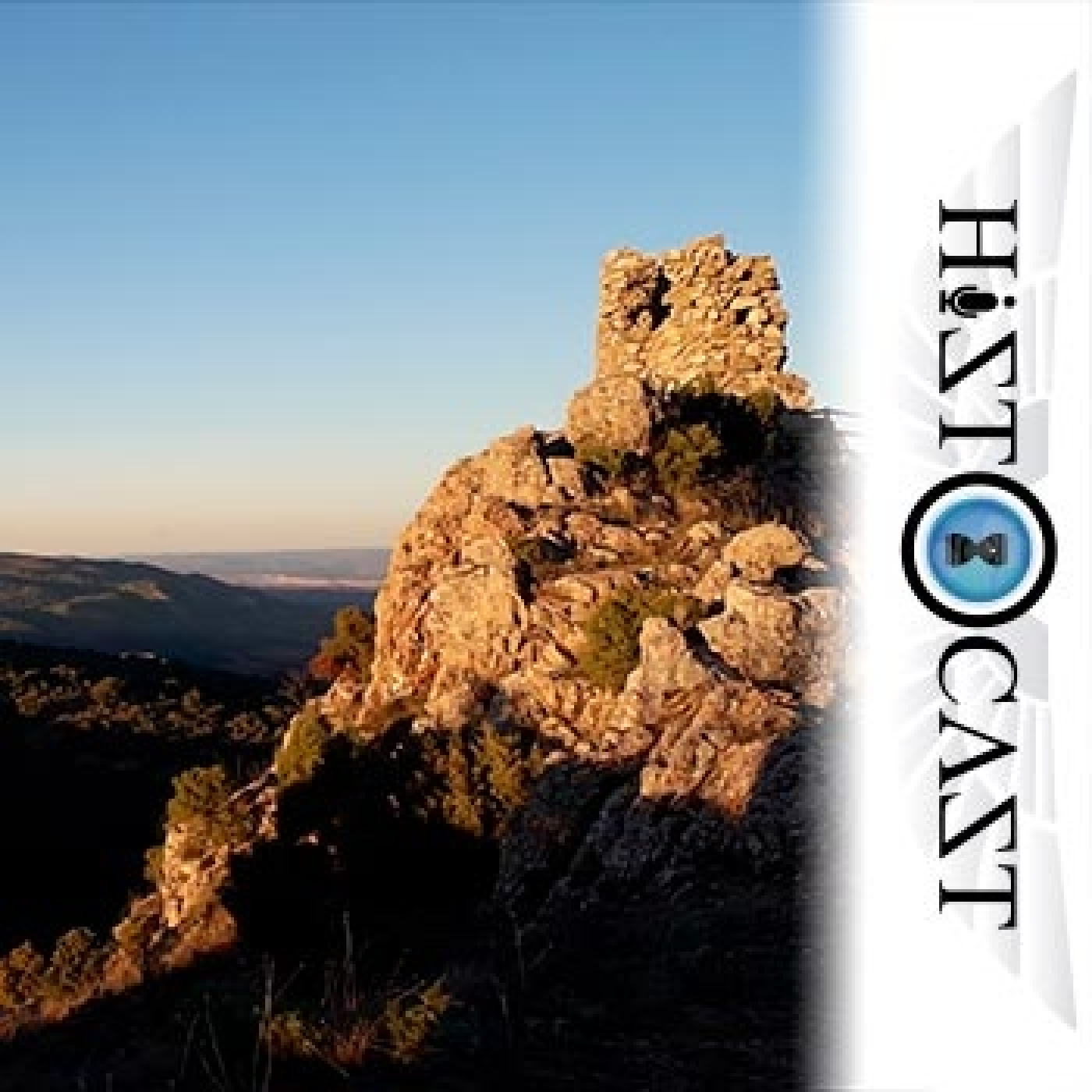 HistoCast