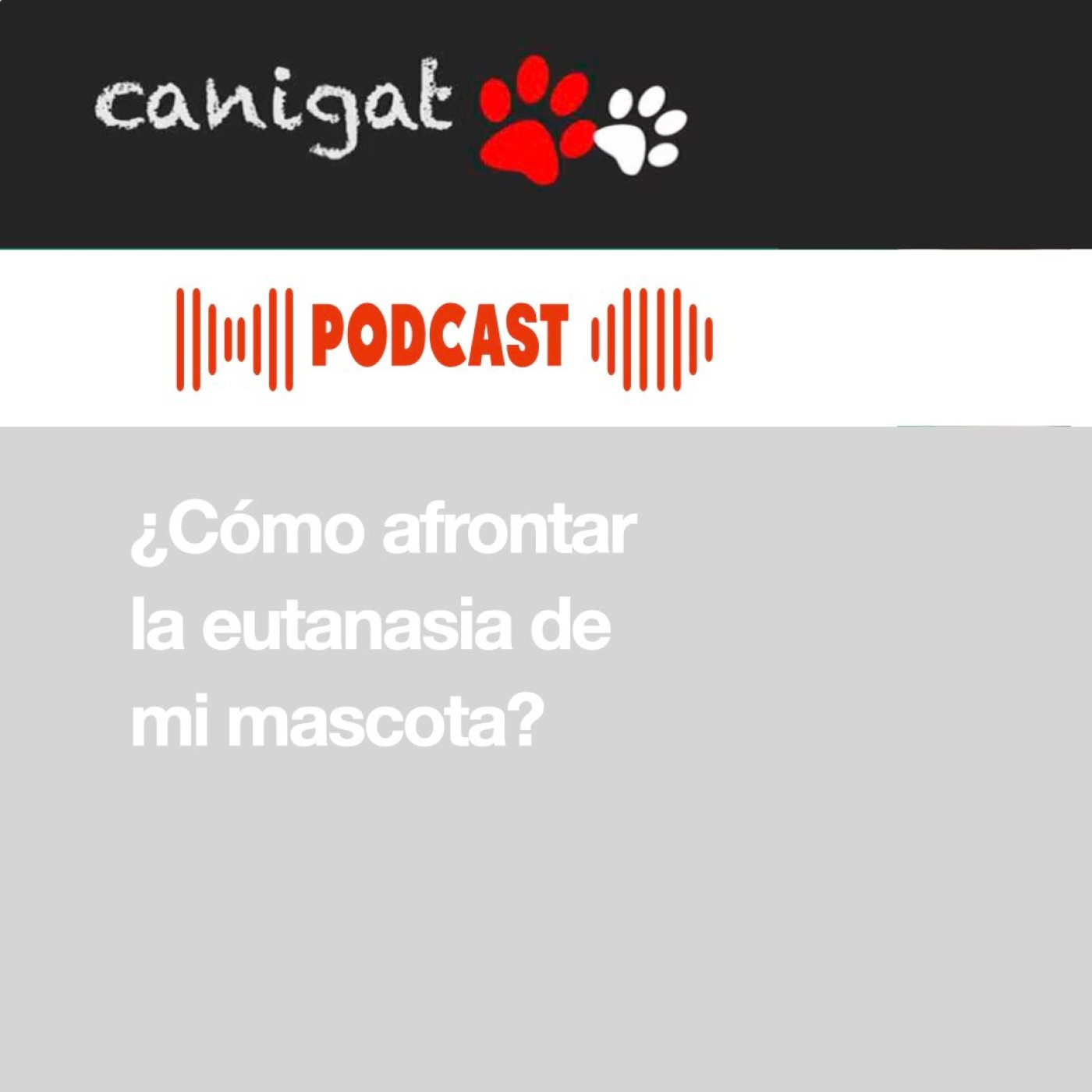 Consejos veterinarios de perros y gatos by canigat