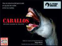 Caballos - en la ciudad al galope