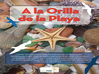 ACL Radio. Proyecto "A la orilla de la playa"