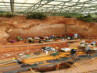 Atapuerca: un viaje a la prehistoria. Entrevista a Eudald Carbonell, coodirector de Atapuerca. Prog. 090. LFDLC