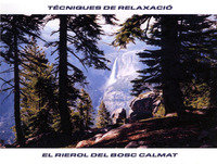 Sonidos de la Naturaleza - Oceano