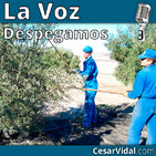 Despegamos: El PSOE alimenta el fraude de PER: pobreza perpetua a cambio de votos - 04/11/19