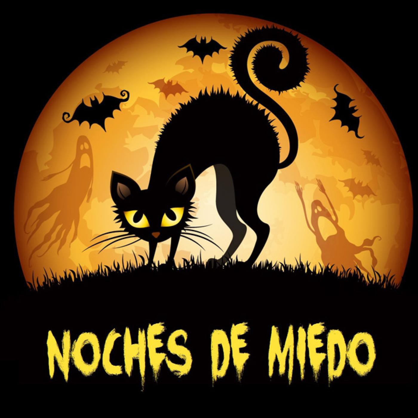 NOCHES DE MIEDO