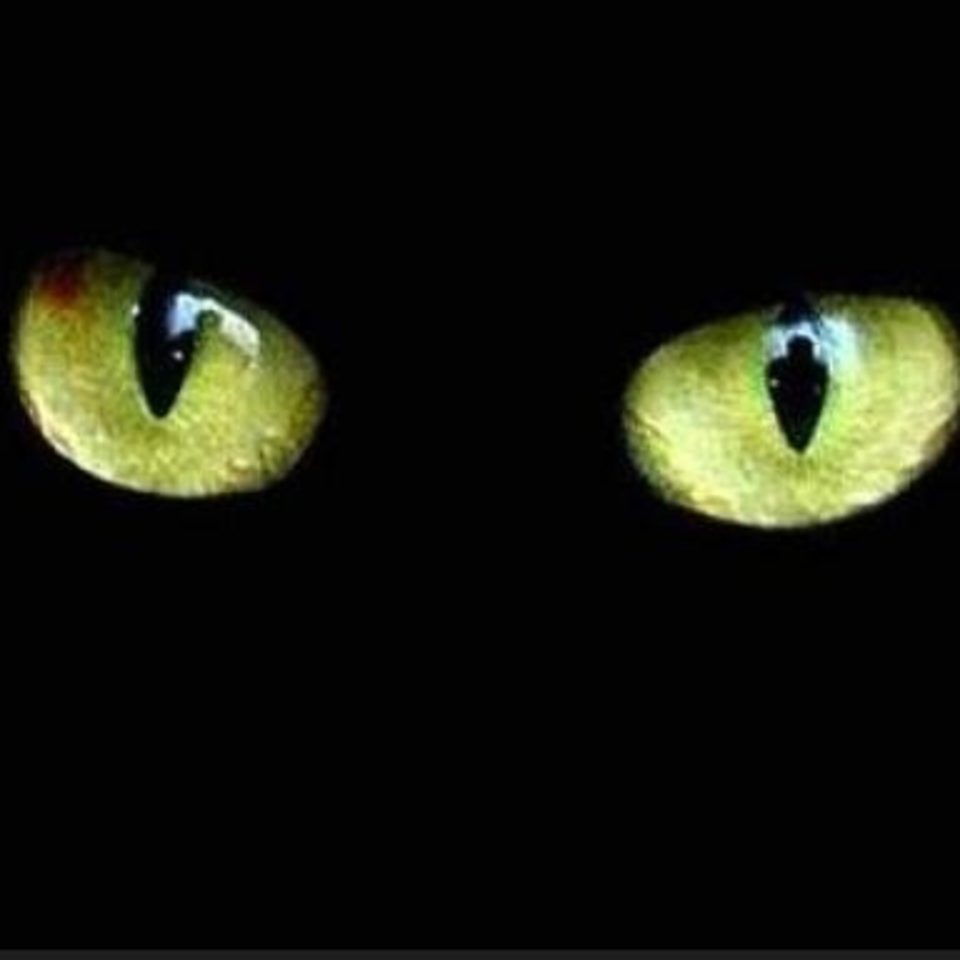 Apaga y Vámonos Tercera Temporada