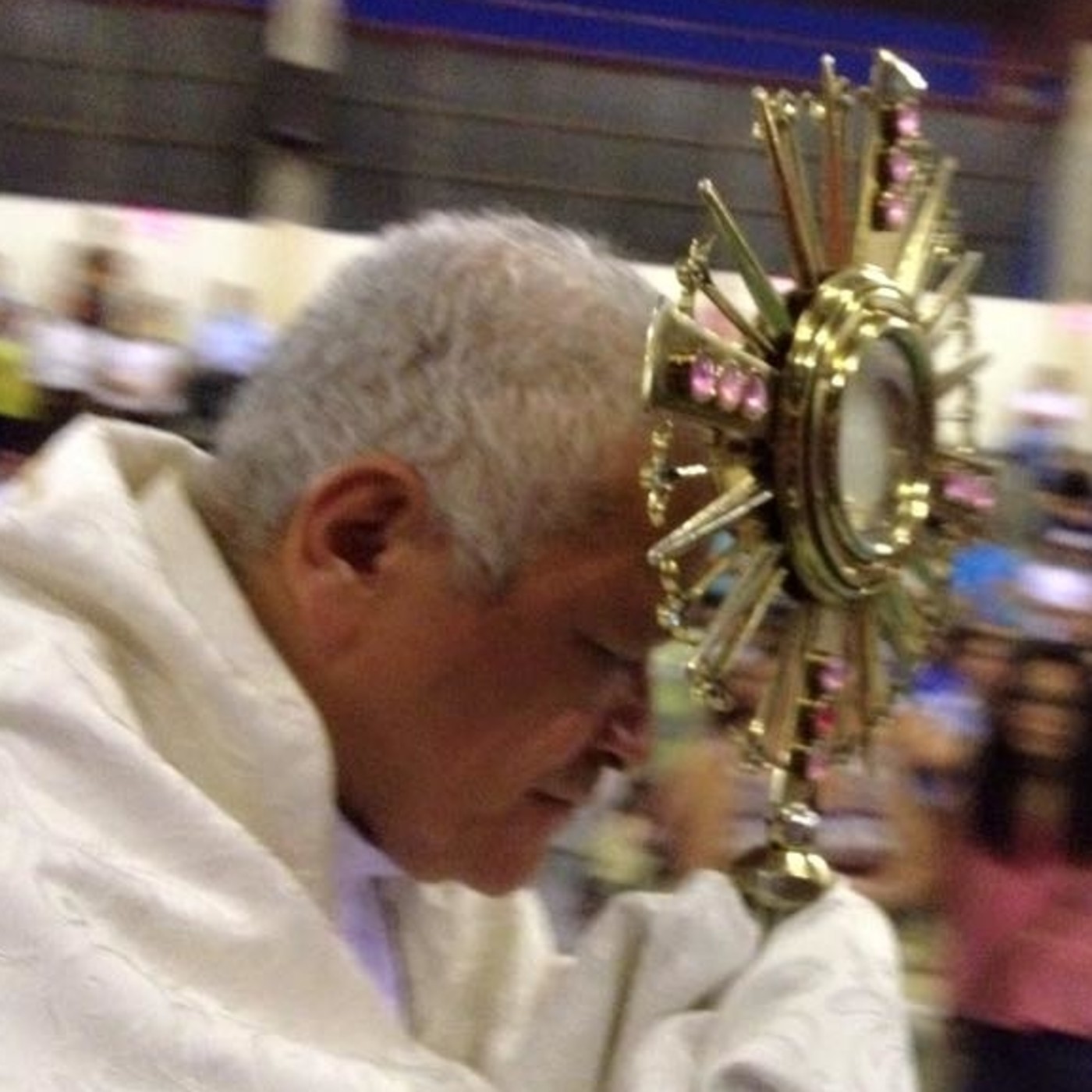 Homilía lV domingo tiempo ordinario Pbro. Martin Avalos