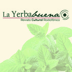 embed image