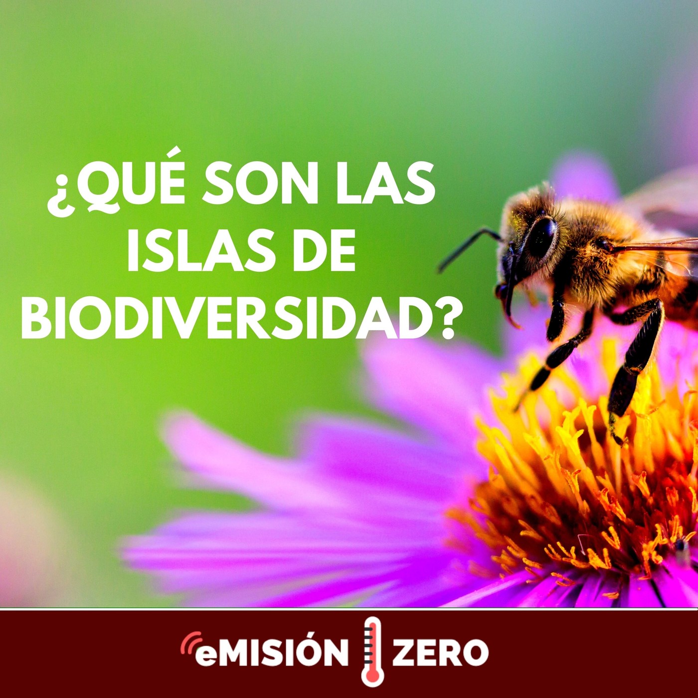 Emisión Zero