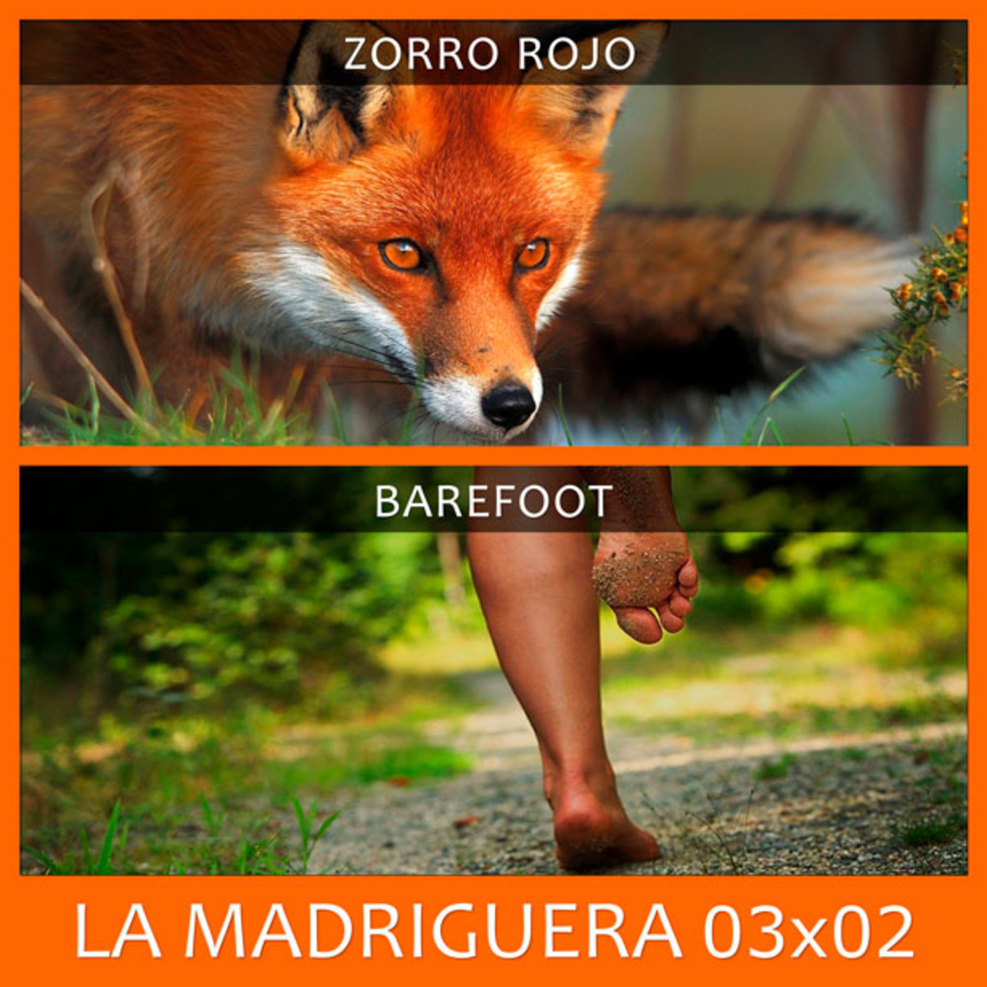 LA MADRIGUERA